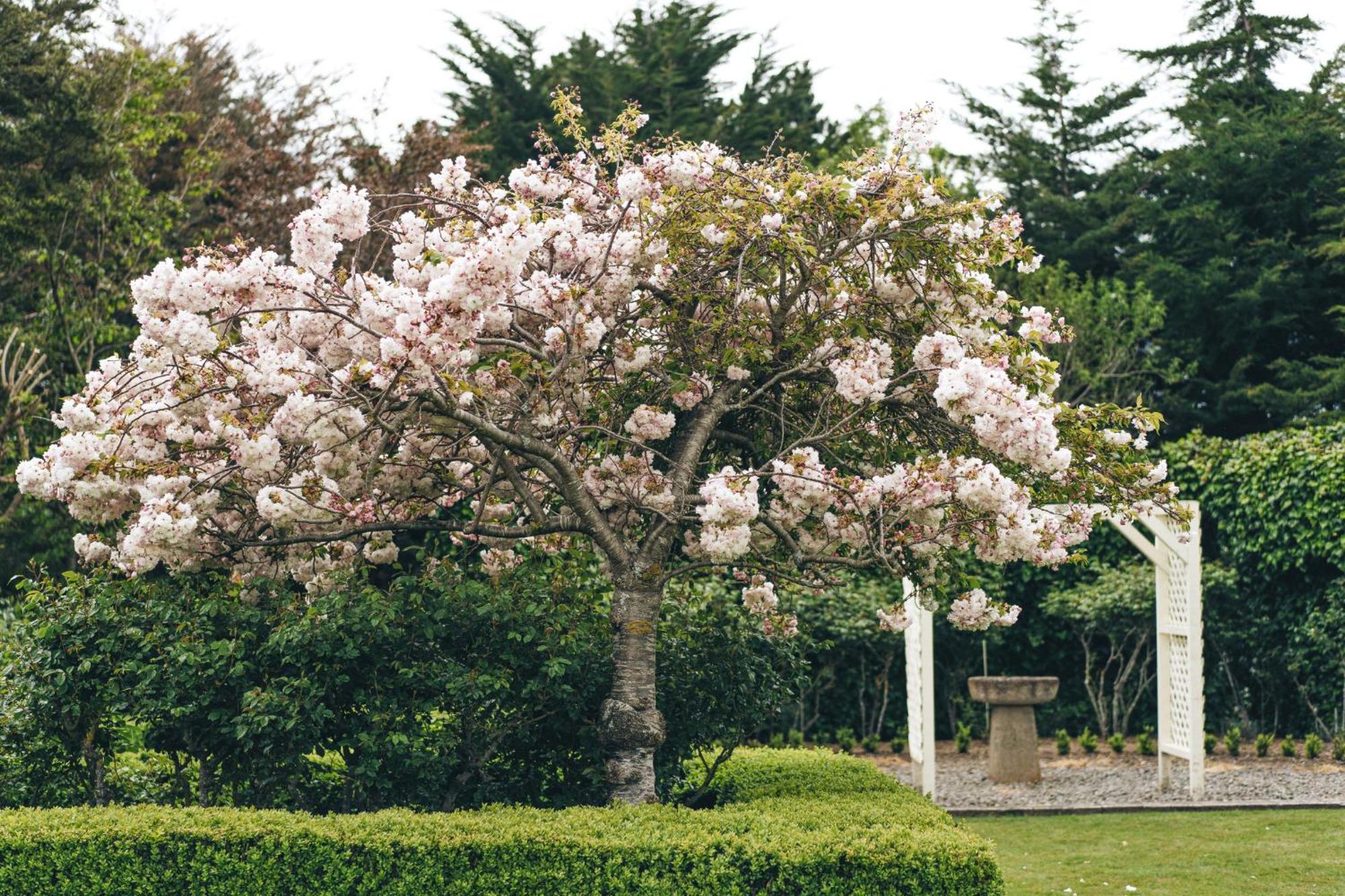 Brackenridge Country Retreat & Spa Martinborough Eksteriør billede