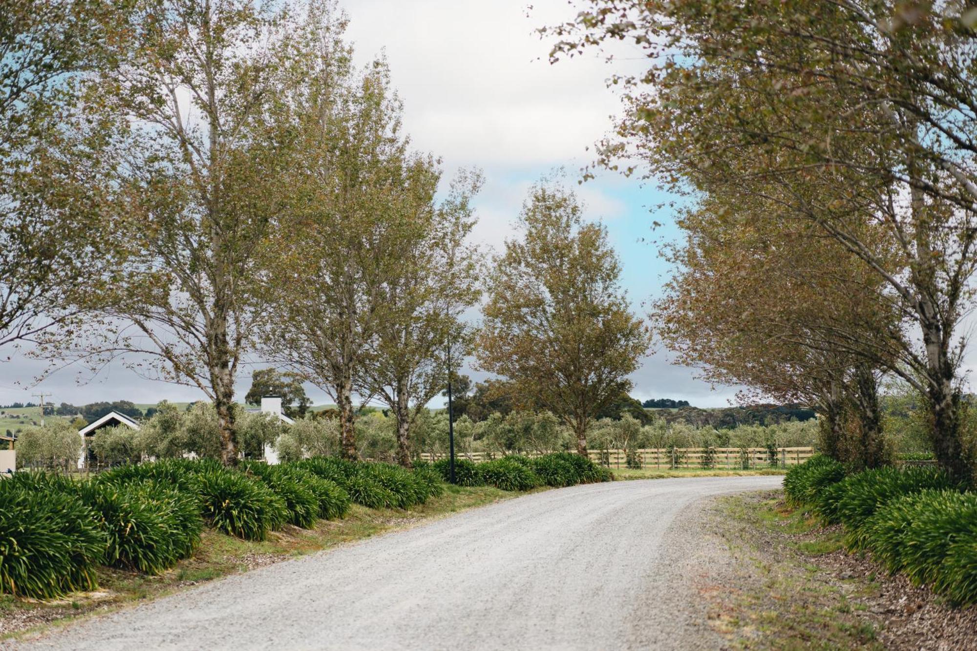 Brackenridge Country Retreat & Spa Martinborough Eksteriør billede